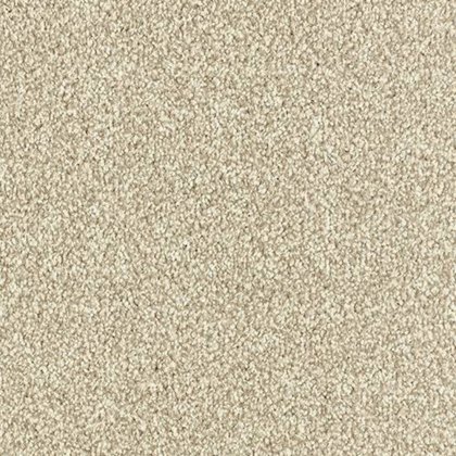 Arena Plus In Stone Carpet Arena Plus In Stone Carpet