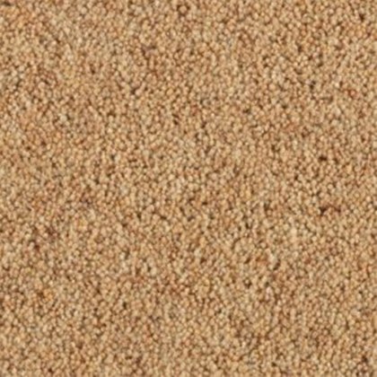 Carlton Twist In Arrowroot Carpet Carlton Twist In Arrowroot Carpet