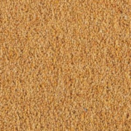 Carlton Twist In Cornhusk Carpet Carlton Twist In Cornhusk Carpet