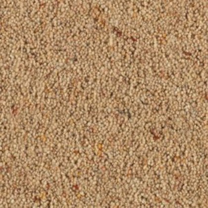 Carlton Twist In Oatmeal Carpet Carlton Twist In Oatmeal Carpet