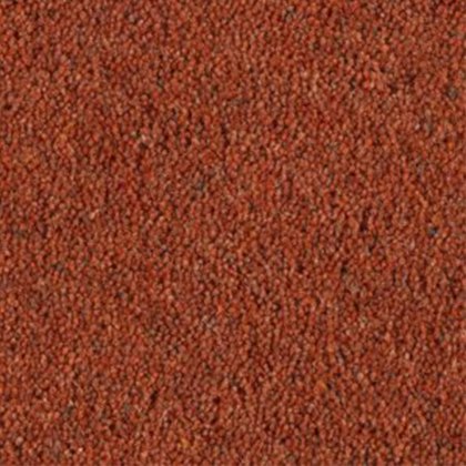 Carlton Twist In Sienna Carpet Carlton Twist In Sienna Carpet