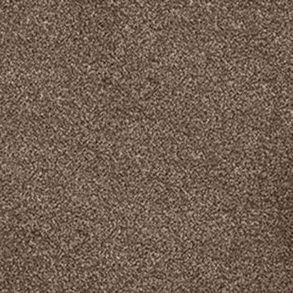 Cassius In Nova Carpet Cassius In Nova Carpet