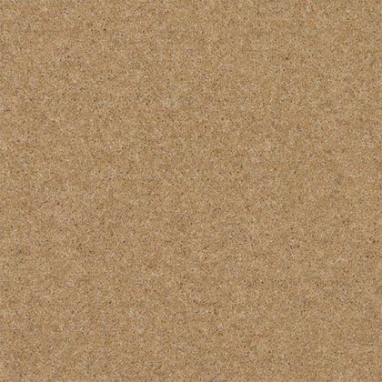 Claxton In Caramel Carpet