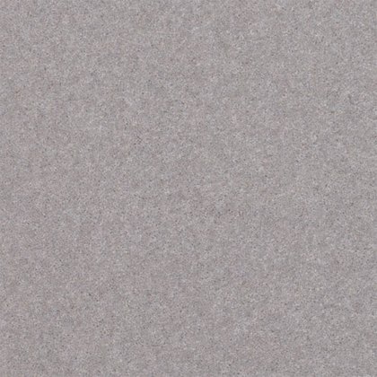 Claxton In Nickel Carpet