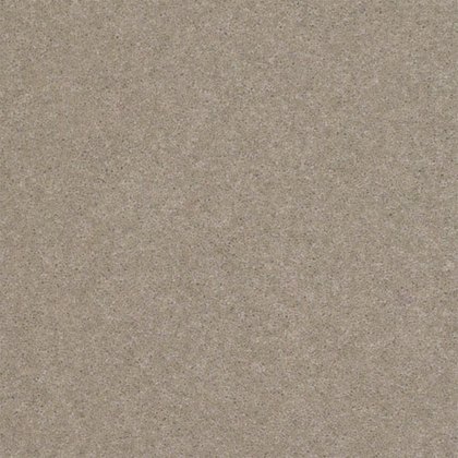 Claxton In Taupe Carpet