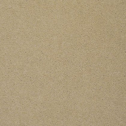 Colorado In Longmount Carpet Colorado In Longmount Carpet