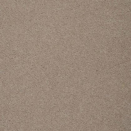 Colorado In Springfield Carpet Colorado In Springfield Carpet