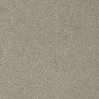 Day Dreams In Close Shave Carpet Day Dreams In Close Shave Carpet