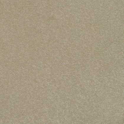 Day Dreams In Day Dreamer Carpet Day Dreams In Day Dreamer Carpet