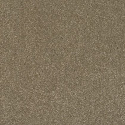 Day Dreams In Neat N Tidy Carpet Day Dreams In Neat N Tidy Carpet