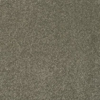 Day Dreams In Quality Carpet Day Dreams In Quality Carpet