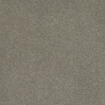 Day Dreams In Well Dressed Carpet Day Dreams In Well Dressed Carpet