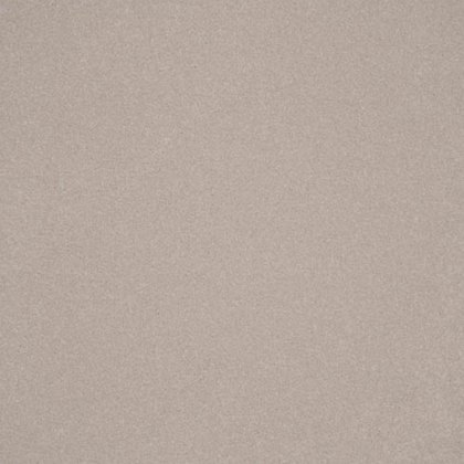 Elegance In Ammonite Carpet