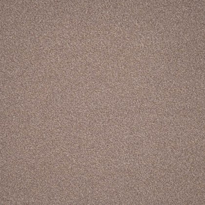 Elegance In Hedgehog Carpet