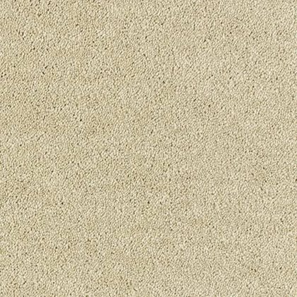 Lasting Romance In Chenille Carpet Lasting Romance In Chenille Carpet