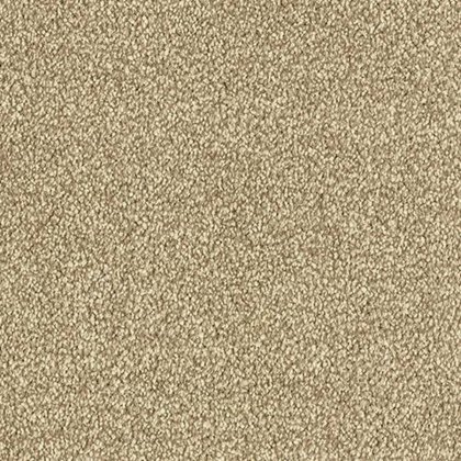 Maximus In Biscotti Carpet Maximus In Biscotti Carpet