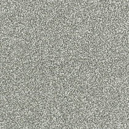 Maximus In French Grey Carpet Maximus In French Grey Carpet