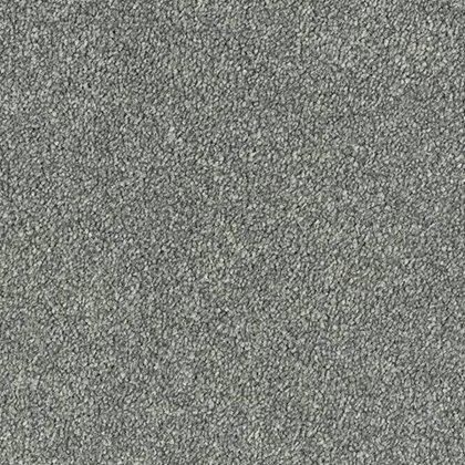 Maximus In Gunmetal Carpet Maximus In Gunmetal Carpet