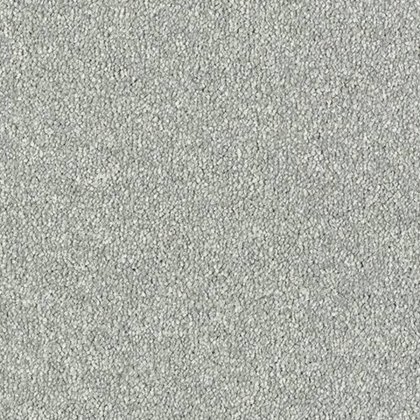 Maximus In Platinum Carpet Maximus In Platinum Carpet