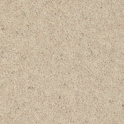 Morton Heathers In Papyrus Carpet Morton Heathers In Papyrus Carpet