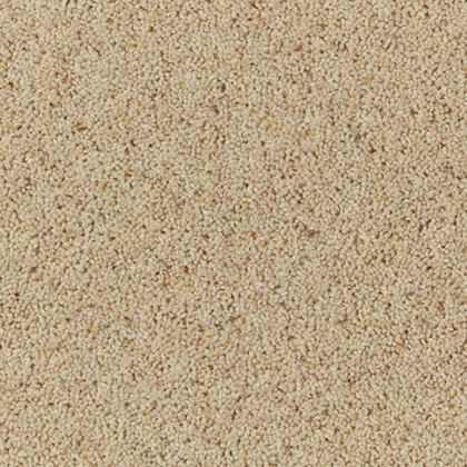 Natural Berber In Coconut Carpet Natural Berber In Coconut Carpet