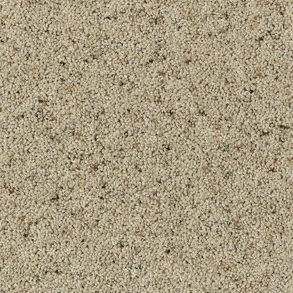 Natural Berber In Morning Dew Carpet Natural Berber In Morning Dew Carpet