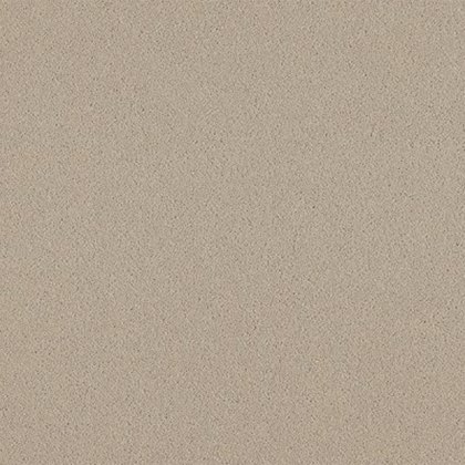 Natural Choice In Platinum Carpet