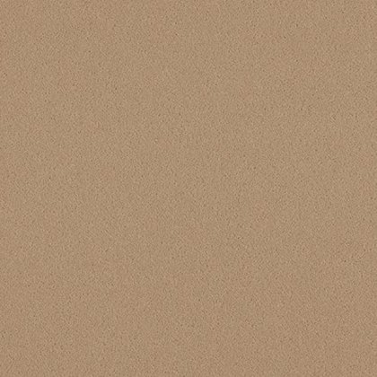 Natural Choice In Plover Carpet