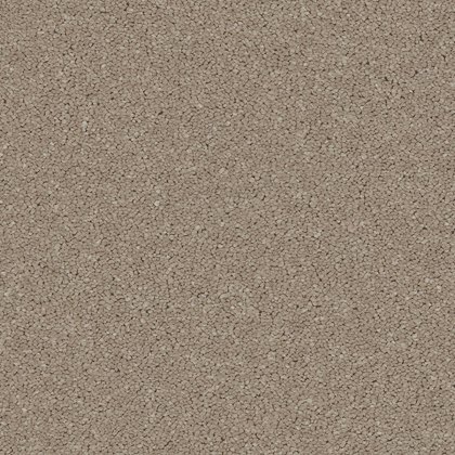 Portrush In Cappuccino Carpet Portrush In Cappuccino Carpet