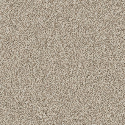 Portrush In Impala Carpet Portrush In Impala Carpet