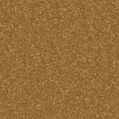 Portrush In Midas Touch Carpet Portrush In Midas Touch Carpet