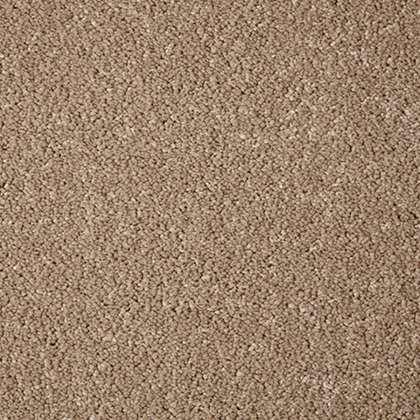 Primo Grande In Lynx Carpet Primo Grande In Lynx Carpet