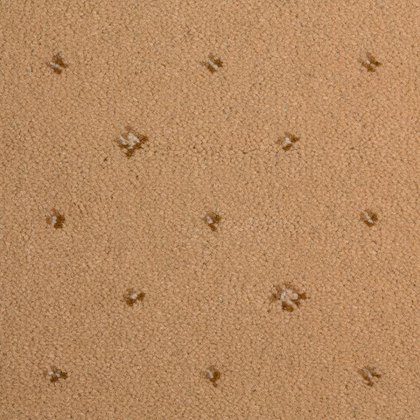 Prince Bishop In Sceptre Beige Carpet Prince Bishop In Sceptre Beige Carpet