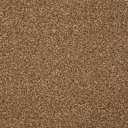 Rothesay In Autumn Gold Carpet Rothesay In Autumn Gold Carpet