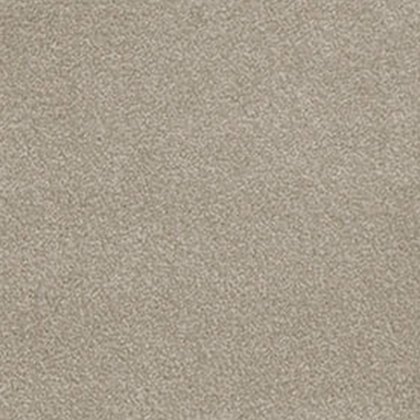 Severus In Stony Ground Carpet Severus In Stony Ground Carpet