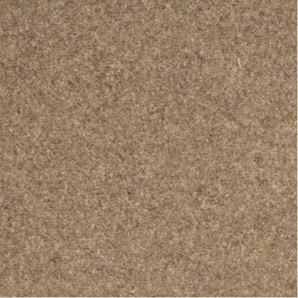 Shoreline In Barnacle Carpet Shoreline In Barnacle Carpet