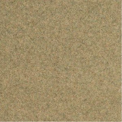 Shoreline In Kelp Carpet Shoreline In Kelp Carpet