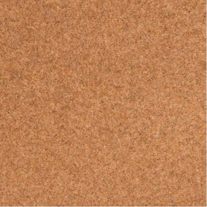 Shoreline In Reef Carpet Shoreline In Reef Carpet