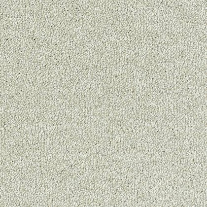 Sophisticat In Champagne Carpet Sophisticat In Champagne Carpet