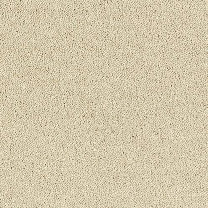 Sophisticat In Cotton Carpet Sophisticat In Cotton Carpet