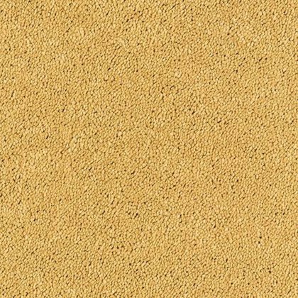 Sophisticat In Gold Carpet Sophisticat In Gold Carpet