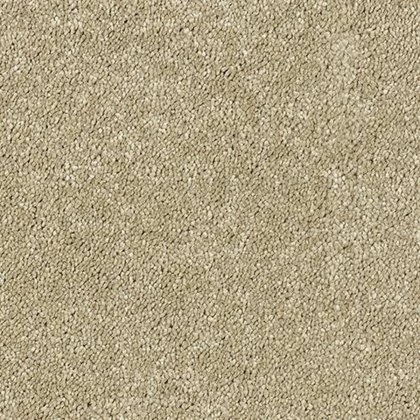 Sophisticat In Latte Carpet Sophisticat In Latte Carpet
