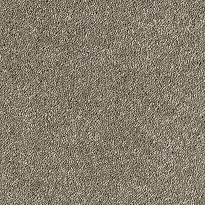 Sophisticat In Mocha Carpet Sophisticat In Mocha Carpet