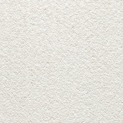Splendid In 30 Oxford Carpet Splendid In 30 Oxford Carpet
