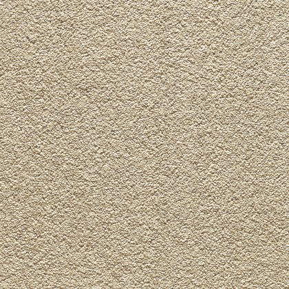 Splendid In 35 Golden Hour Carpet Splendid In 35 Golden Hour Carpet
