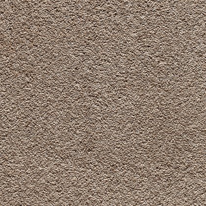 Splendid In 37 Fudge Carpet Splendid In 37 Fudge Carpet