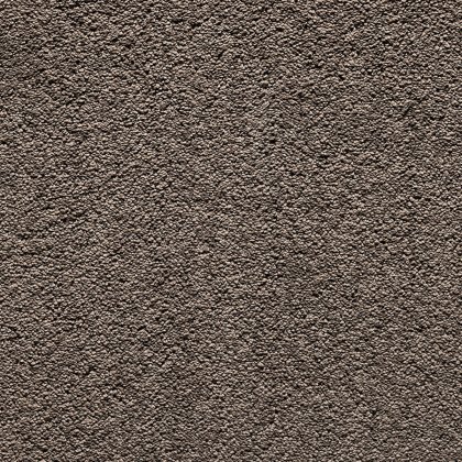 Splendid In 47 Ramble Carpet Splendid In 47 Ramble Carpet