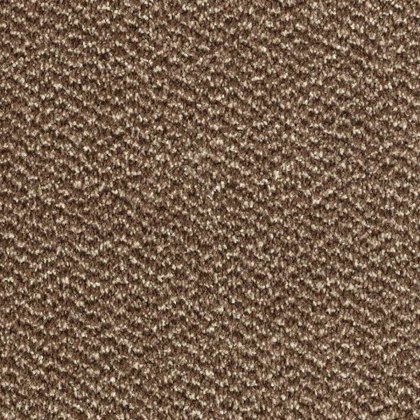 Stainfree Tweed In Espresso Carpet Stainfree Tweed In Espresso Carpet