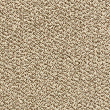 Stainfree Tweed In Taupe Carpet Stainfree Tweed In Taupe Carpet