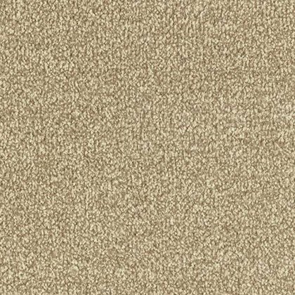 Stainfree Twist In Biscotti Carpet Stainfree Twist In Biscotti Carpet